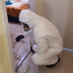 Уборка ртути в квартире