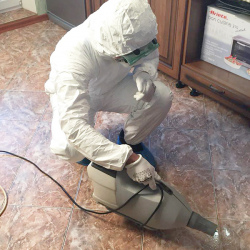 Уничтожение муравьев в квартире. Петроградская