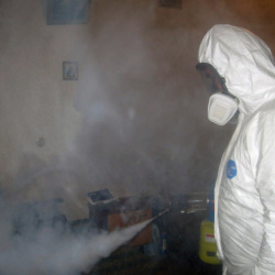 Обработка от муравьев в квартире Петроградская метро Спб