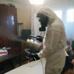 Дезинфекция от клопов Петроградская метро Спб