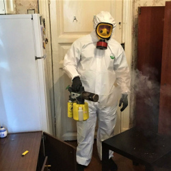 Обработка квартиры от клопов Петроградская метро Спб