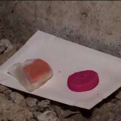 Обработка от крыс