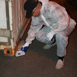 Травля крыс