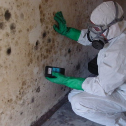 Уничтожение плесени